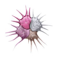 Satin Chrome Esmalte de Uñas   Satin Chrome Esmalte de Uñas   1